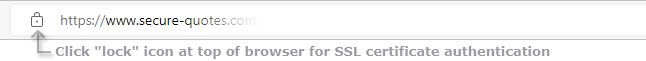 Click the lock icon at top of your browser for SSL certificate suthentication.