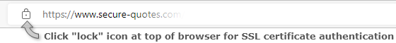 Click the lock icon at top of your browser for SSL certificate authentication.